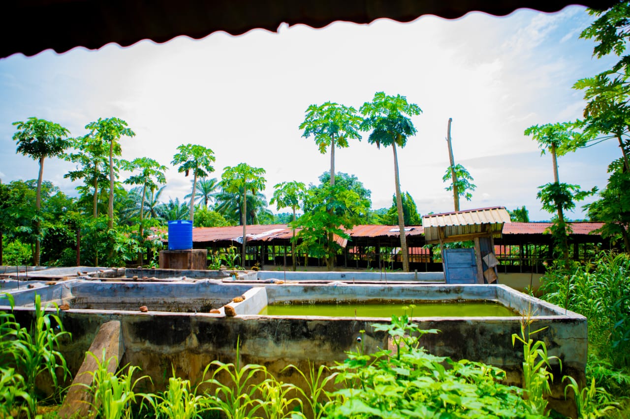 The Monastery Fish Pond